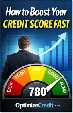 User dashboard for the Optimize Credit platform, UI design - Free Credit Stock Photo