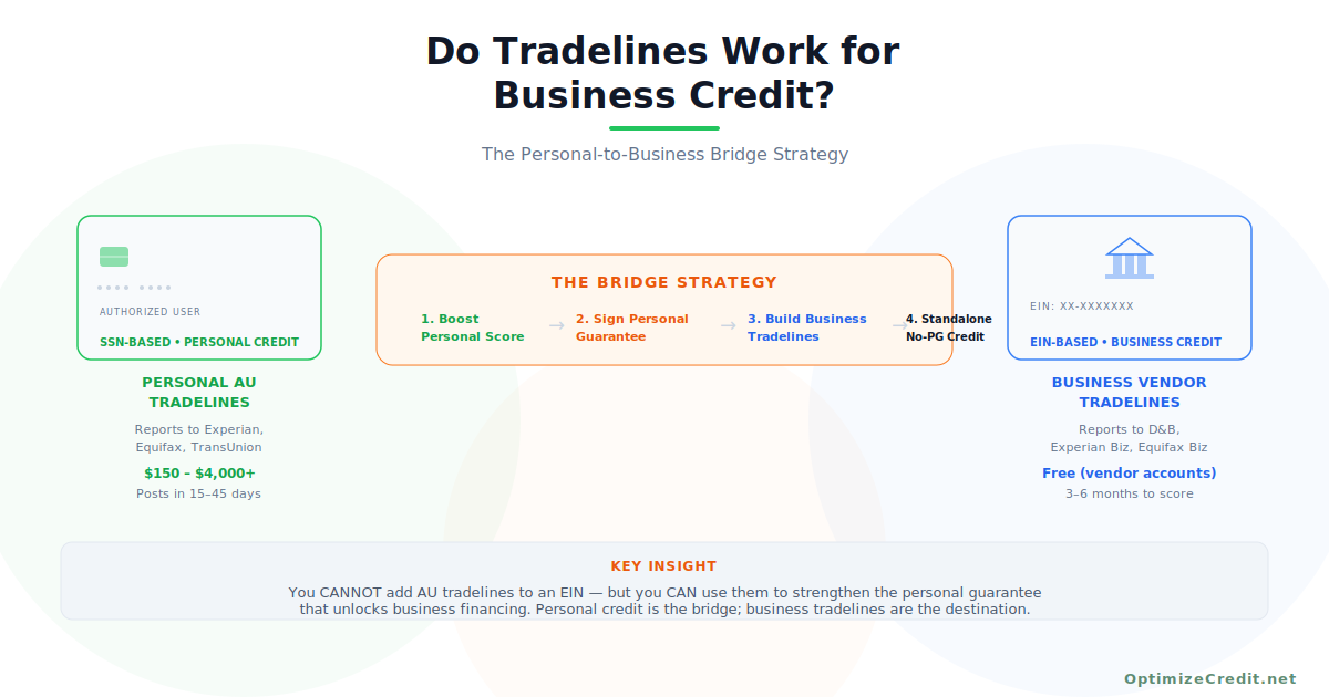 Tradelines for business credit building, header graphic - Free Credit Stock Photo