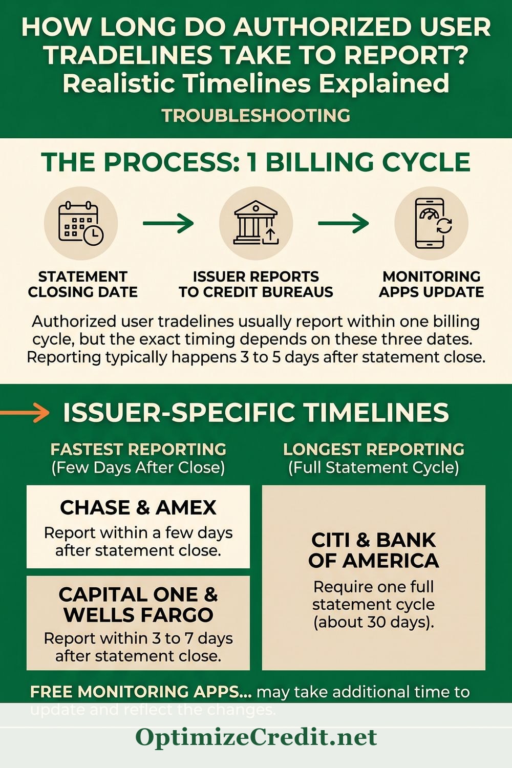 How Long Do Authorized User Tradelines Take to Report? Realistic Timelines Explained infographic — OptimizeCredit.net