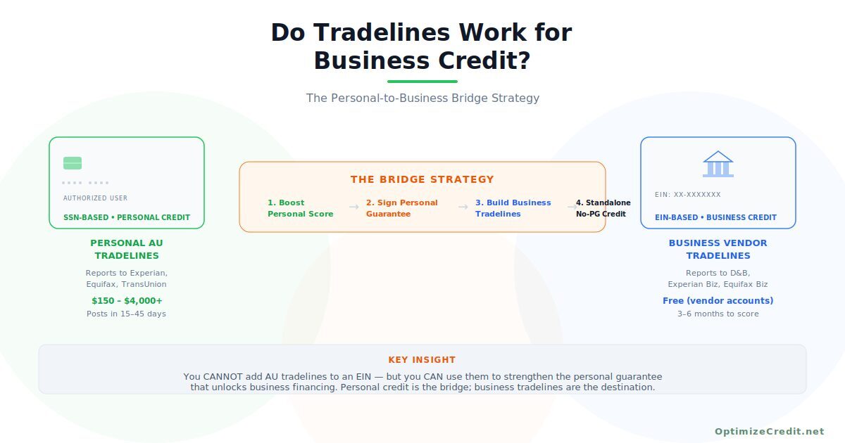 Do Tradelines Work for Business Credit? infographic — OptimizeCredit.net